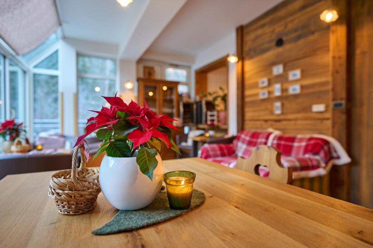 Solčava Eko Hisa-Eco House Na Razpotju酒店 外观 照片