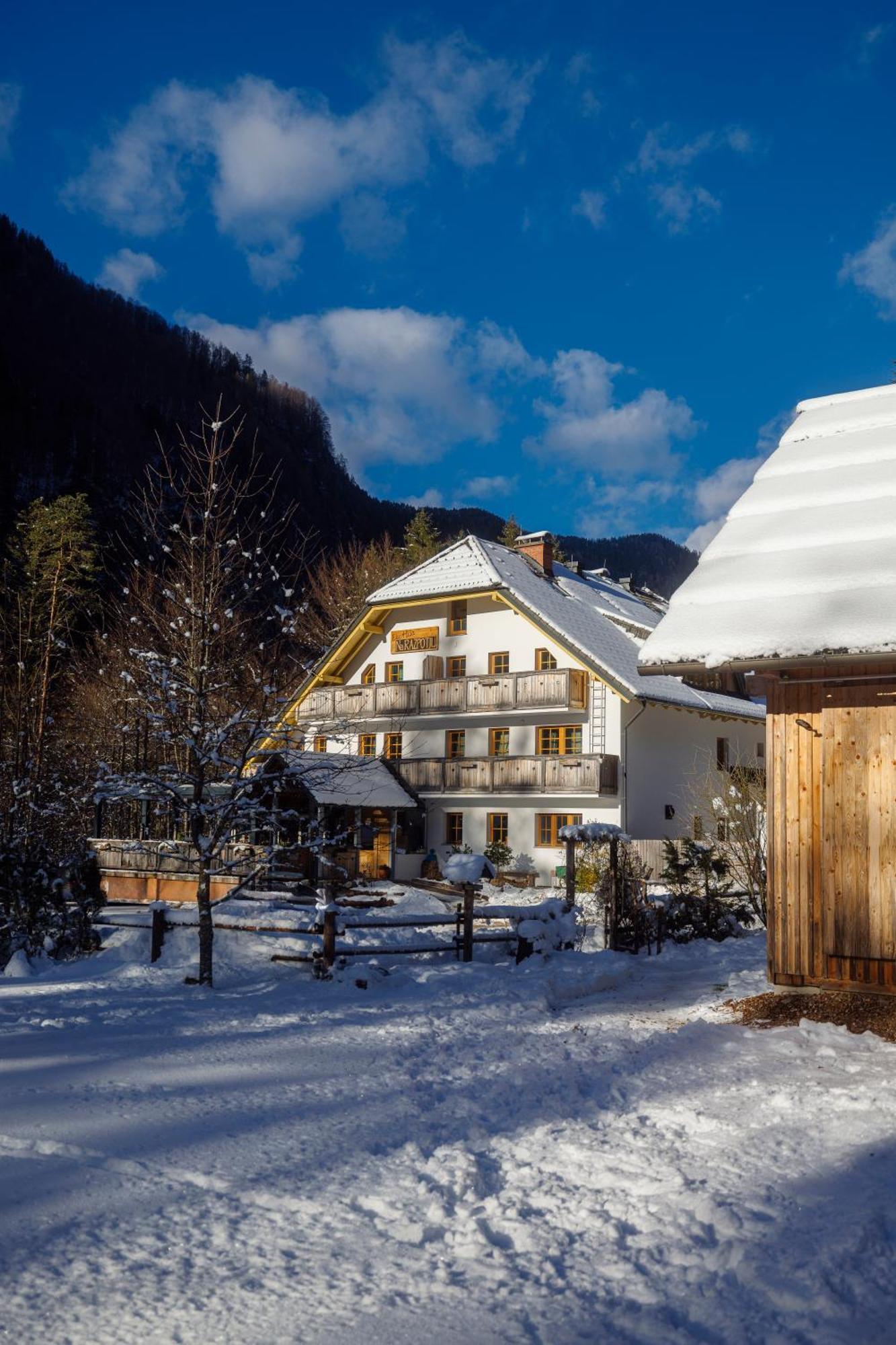 Solčava Eko Hisa-Eco House Na Razpotju酒店 外观 照片